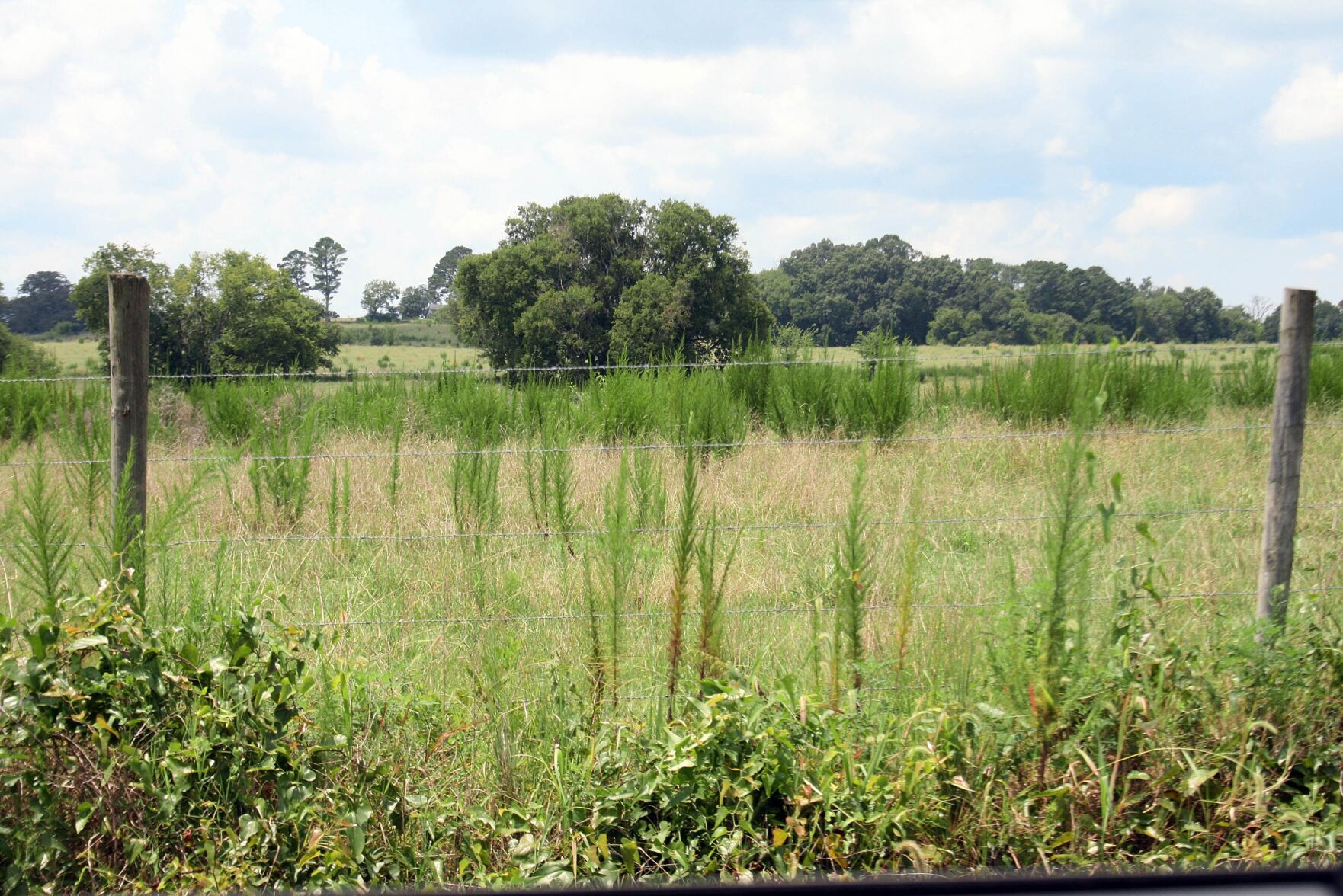 County betting Braden Farm can grow jobs instead of soybeans or corn